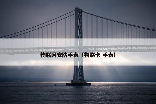 物联网安防手表（物联卡 手表）