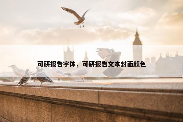 可研报告字体，可研报告文本封面颜色