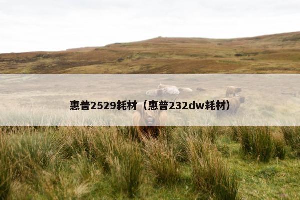 惠普2529耗材（惠普232dw耗材）