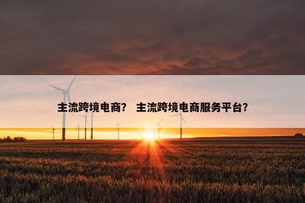 主流跨境电商？ 主流跨境电商服务平台？
