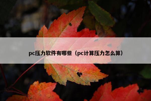 pc压力软件有哪些（pc计算压力怎么算）