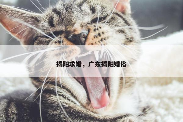 揭阳求婚，广东揭阳婚俗