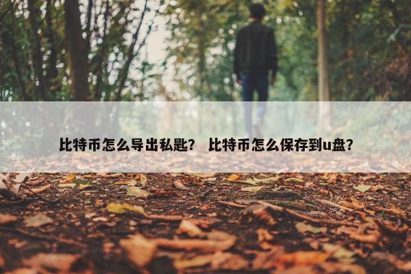 比特币怎么导出私匙？ 比特币怎么保存到u盘？