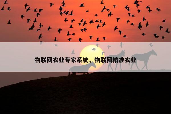 物联网农业专家系统，物联网精准农业