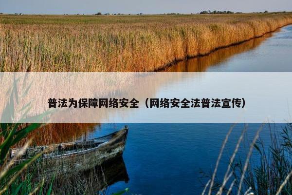普法为保障网络安全（网络安全法普法宣传）