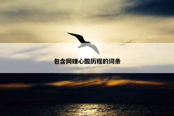 包含网赚心酸历程的词条