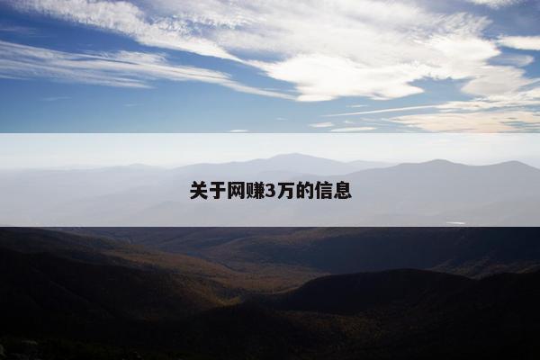 关于网赚3万的信息