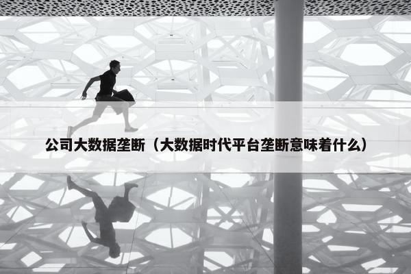 公司大数据垄断（大数据时代平台垄断意味着什么）