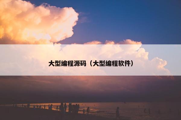 大型编程源码（大型编程软件）