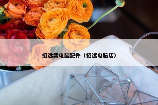 招远卖电脑配件（招远电脑店）
