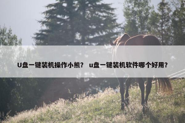 U盘一键装机操作小熊？ u盘一键装机软件哪个好用？