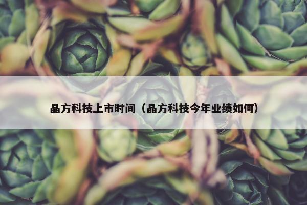 晶方科技上市时间（晶方科技今年业绩如何）