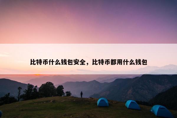 比特币什么钱包安全，比特币都用什么钱包
