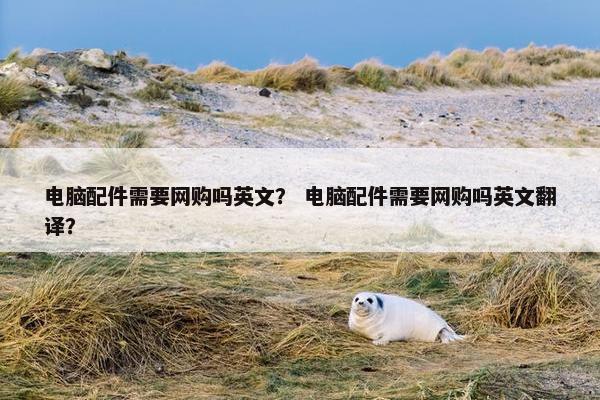 电脑配件需要网购吗英文？ 电脑配件需要网购吗英文翻译？
