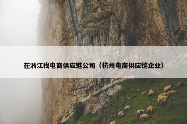 在浙江找电商供应链公司（杭州电商供应链企业）