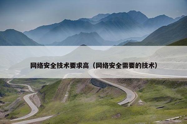 网络安全技术要求高（网络安全需要的技术）