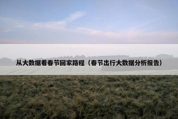从大数据看春节回家路程（春节出行大数据分析报告）