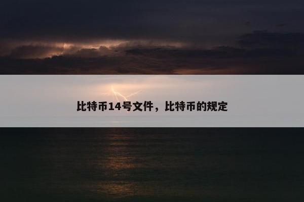 比特币14号文件，比特币的规定