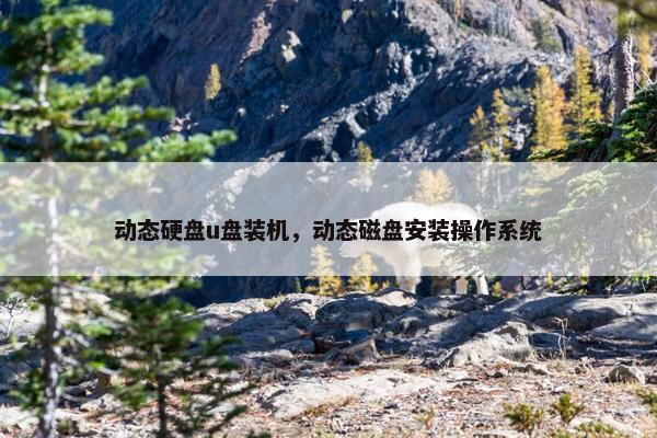 动态硬盘u盘装机，动态磁盘安装操作系统