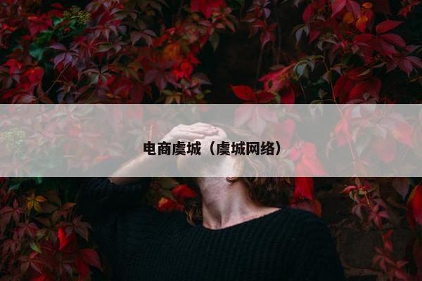 电商虞城（虞城网络）