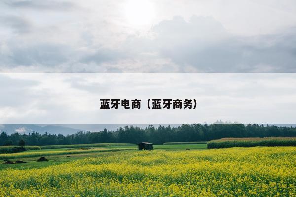 蓝牙电商（蓝牙商务）