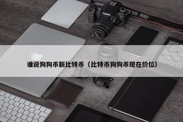 谁说狗狗币新比特币（比特币狗狗币现在价位）