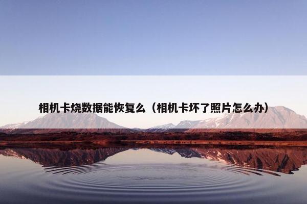 相机卡烧数据能恢复么（相机卡坏了照片怎么办）