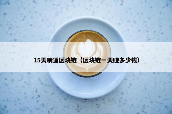 15天精通区块链（区块链一天赚多少钱）