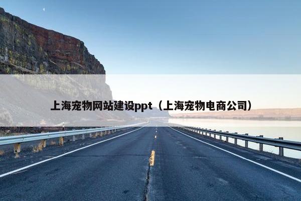 上海宠物网站建设ppt（上海宠物电商公司）