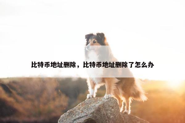 比特币地址删除，比特币地址删除了怎么办