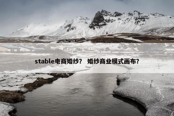 stable电商婚纱？ 婚纱商业模式画布？