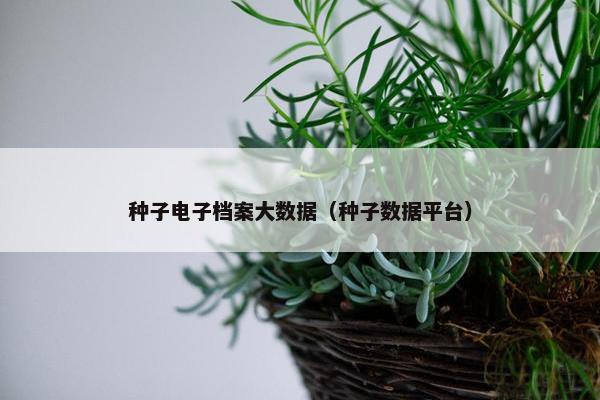 种子电子档案大数据（种子数据平台）