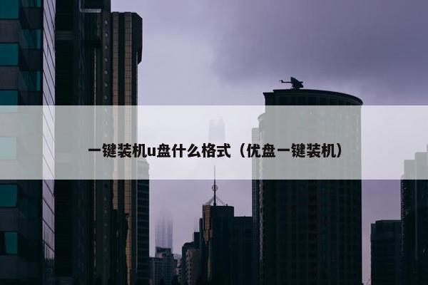 一键装机u盘什么格式（优盘一键装机）