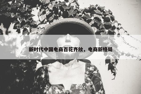新时代中国电商百花齐放，电商新格局
