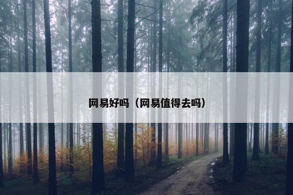 网易好吗（网易值得去吗）