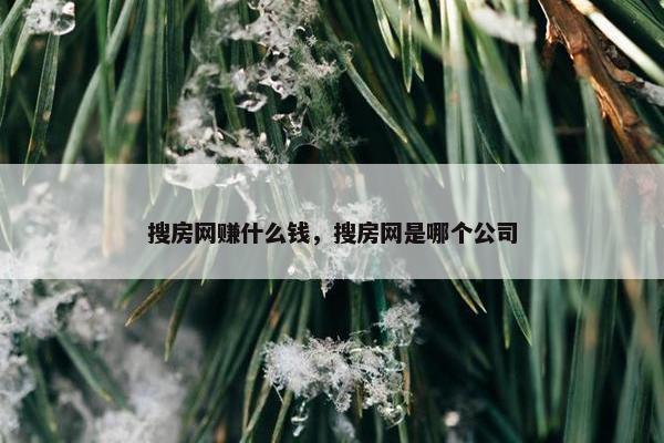 搜房网赚什么钱，搜房网是哪个公司