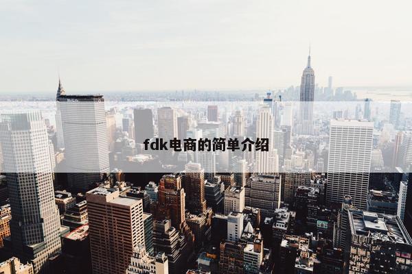 fdk电商的简单介绍