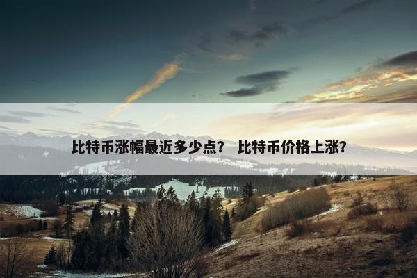 比特币涨幅最近多少点？ 比特币价格上涨？