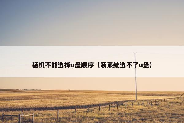 装机不能选择u盘顺序（装系统选不了u盘）