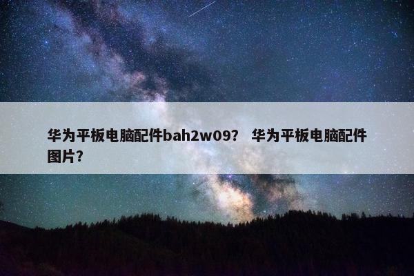 华为平板电脑配件bah2w09？ 华为平板电脑配件图片？