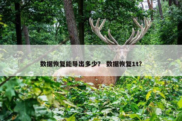 数据恢复能导出多少？ 数据恢复1t？