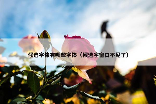 候选字体有哪些字体（候选字窗口不见了）