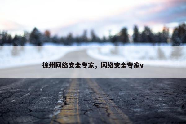 徐州网络安全专家，网络安全专家v