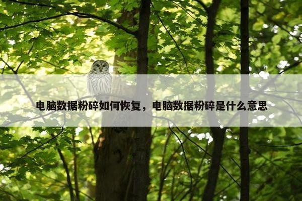 电脑数据粉碎如何恢复，电脑数据粉碎是什么意思