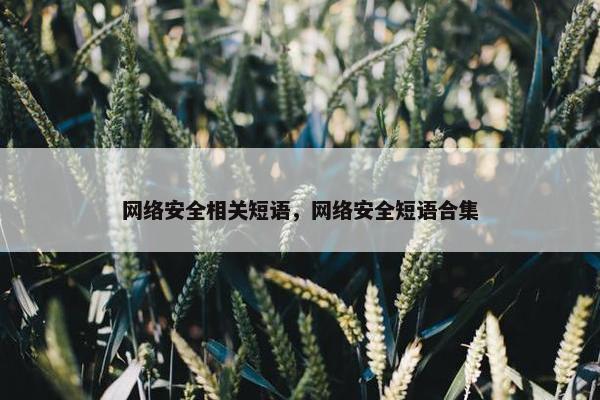 网络安全相关短语，网络安全短语合集