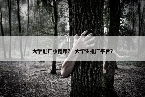 大学推广小程序？ 大学生推广平台？