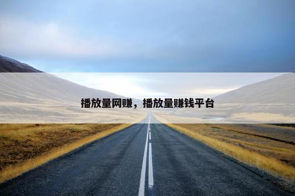 播放量网赚，播放量赚钱平台