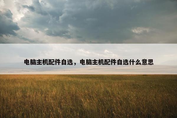 电脑主机配件自选，电脑主机配件自选什么意思