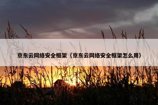 京东云网络安全框架（京东云网络安全框架怎么用）