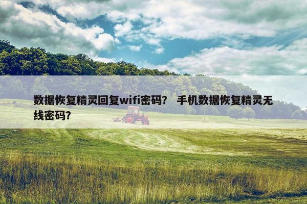 数据恢复精灵回复wifi密码？ 手机数据恢复精灵无线密码？